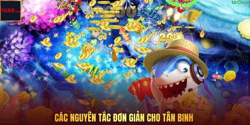Các nguyên tắc đơn giản cho tân binh 