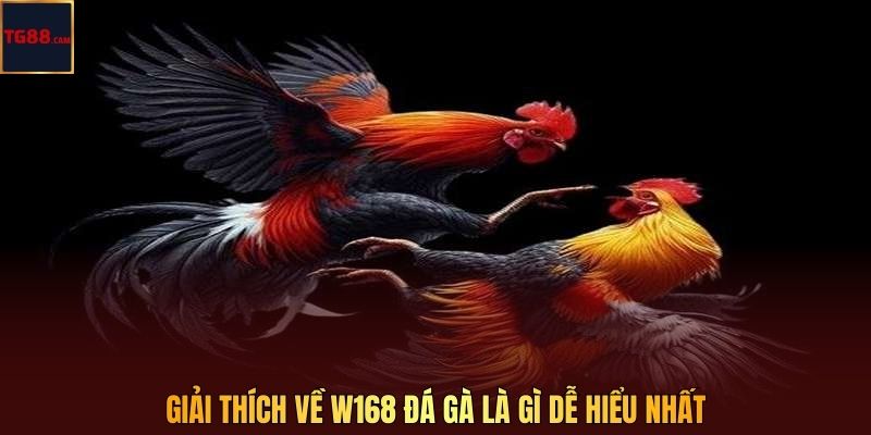 Giải thích về W168 đá gà là gì dễ hiểu nhất 