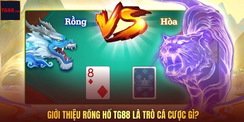 Giới thiệu Rồng Hổ TG88 là trò cá cược gì?