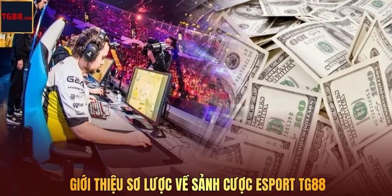 Giới thiệu sơ lược về sảnh cược Esport TG88