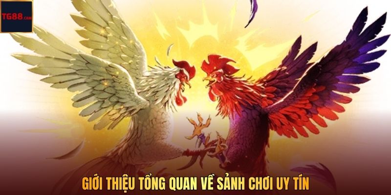 Giới thiệu tổng quan về sảnh chơi uy tín 