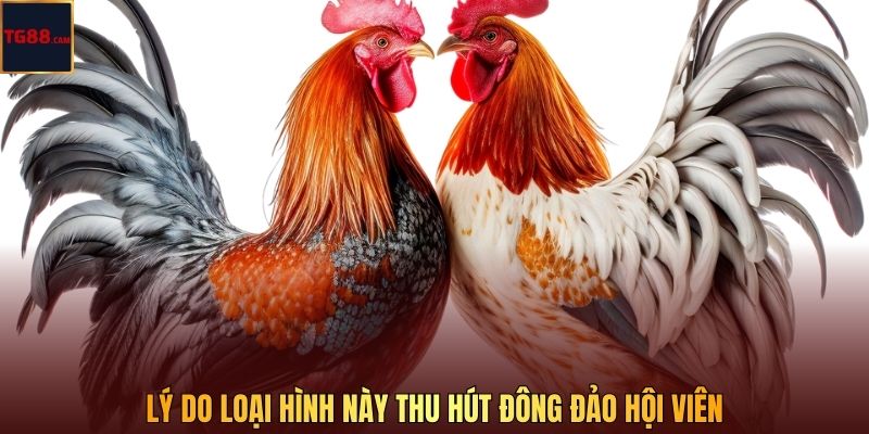Lý do loại hình này thu hút đông đảo hội viên 