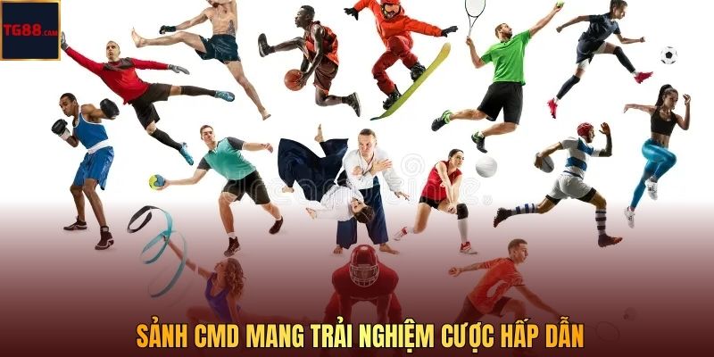 Sảnh CMD mang trải nghiệm cược hấp dẫn