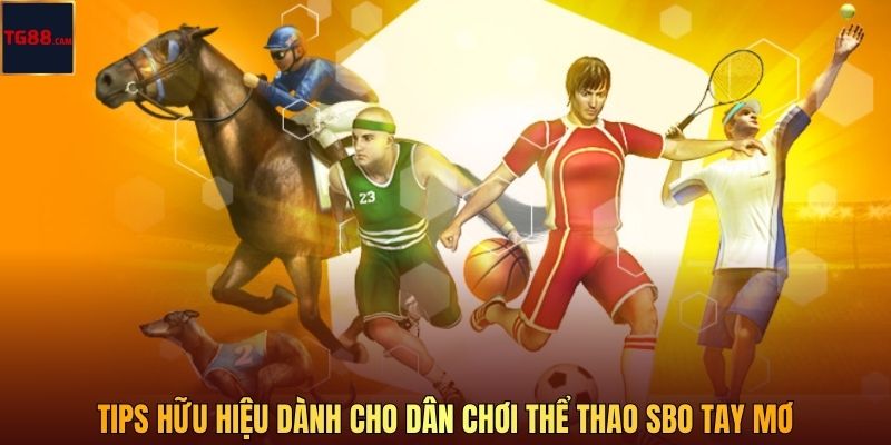 Tips hữu hiệu dành cho dân chơi thể thao SBO tay mơ