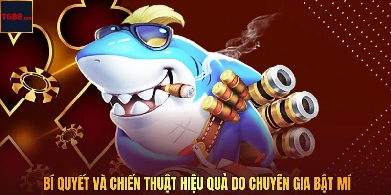 Bí quyết và chiến thuật hiệu quả do chuyên gia bật mí