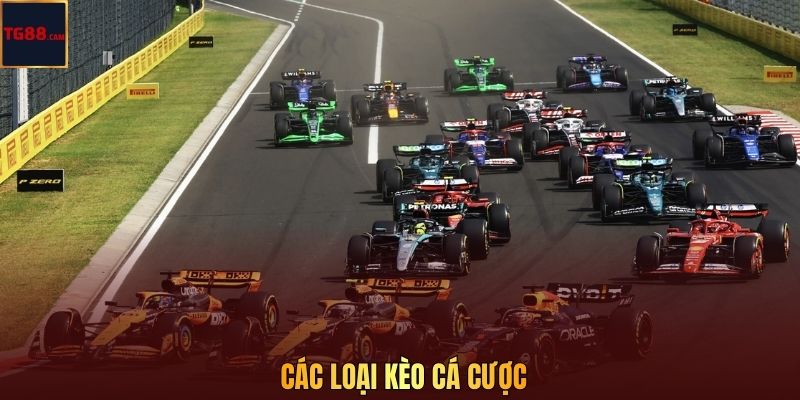 Các loại kèo cá cược