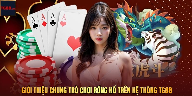 Giới thiệu chung trò chơi Rồng Hổ trên hệ thống TG88